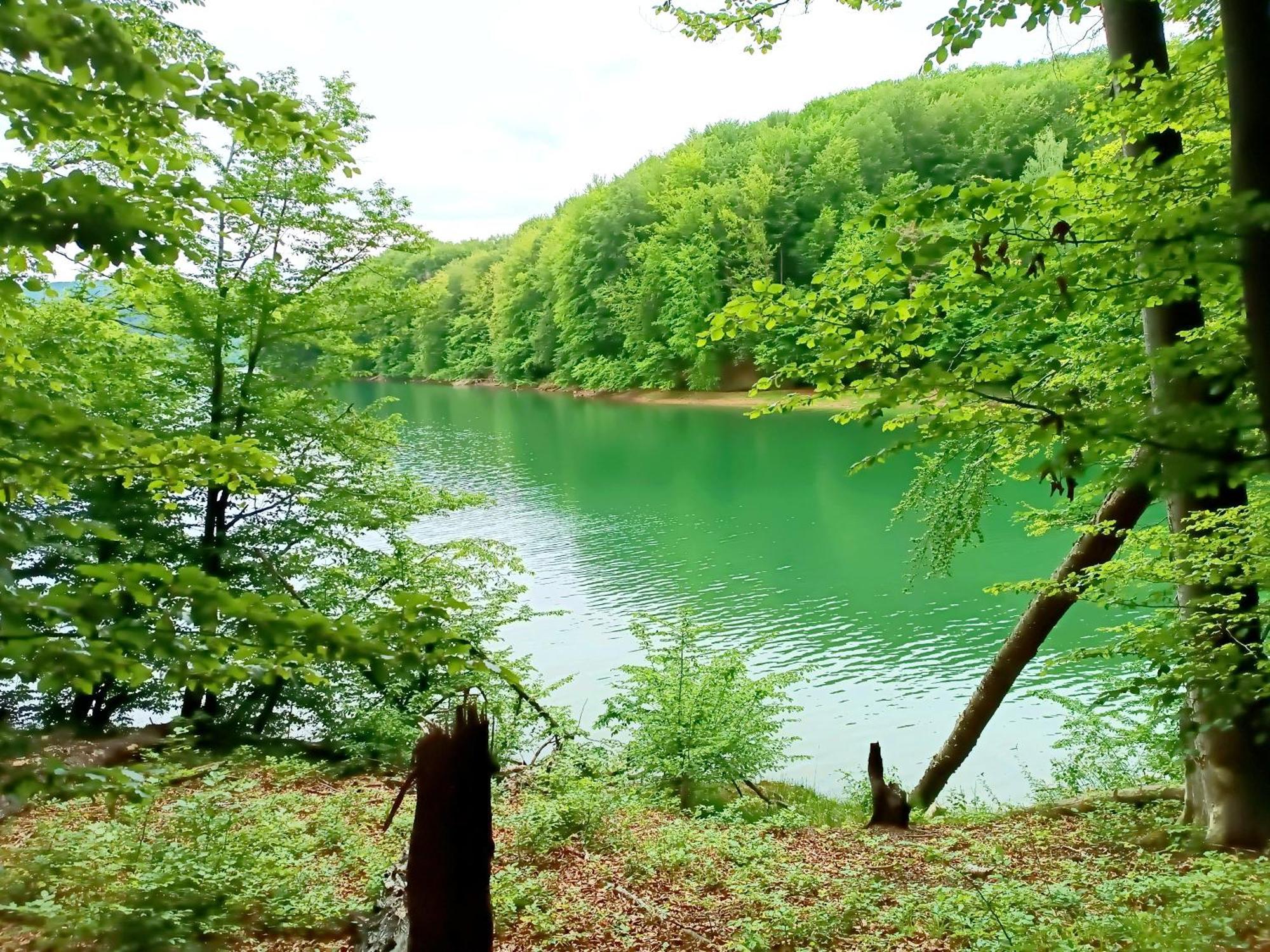 Bieszczadzka Pauza Villa Polańczyk Kültér fotó